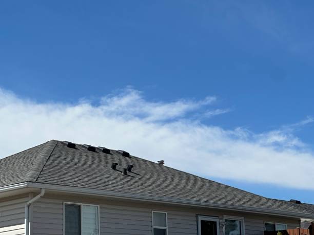 Best Roofing for New Construction  in Rittman, OH